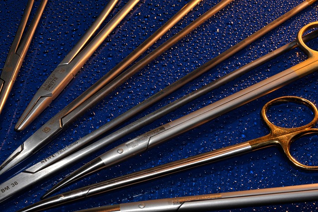 sterile laboratory environment with laminar flow hood and grain spawn jars being prepared for mushroom inoculation